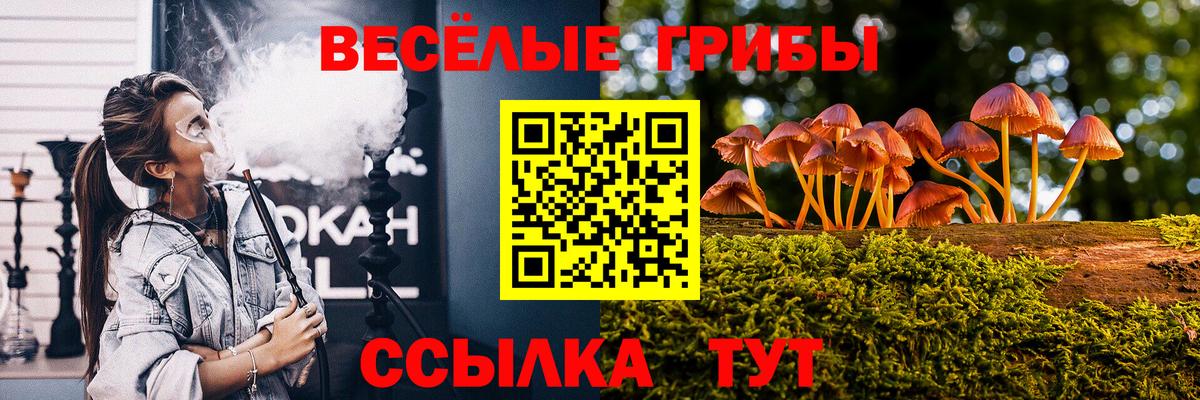 Псилоцибиновые грибы ЛСД  Псилоцибиновые грибы Psilocybine cubensis  Симферополь  Вход с VPN 