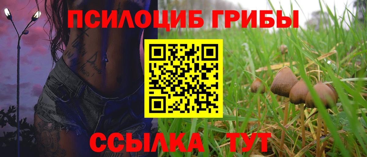 Псилоцибиновые грибы Cubensis Симферополь